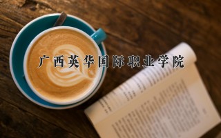 2024年广西英华国际职业学院录取分数线，河北最低260分