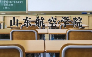 山东航空学院王牌专业排名-含2025年全国各省录取最低分数线