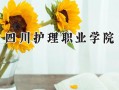 2024四川护理职业学院录取分数线：陕西最低378分