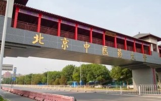 广东考生594分物理类能上什么大学？ 附2024年能上的院校名单