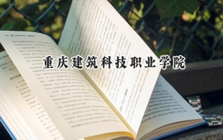 重庆建筑科技职业学院2024在青海录取分数线是多少？最低237分/最高273分