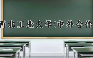 2024西北工业大学(中外合作)录取分数线，重庆录取最低分610