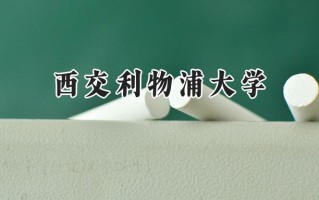 西交利物浦大学2024在上海录取分数线是多少？最低539分/最高545分