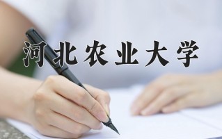 2025年黑龙江高考452分可以上什么大学？附可以上的院校名单