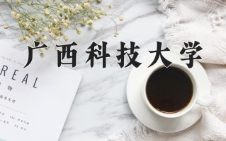 广西科技大学王牌专业排名-含2025年全国各省录取最低分数线