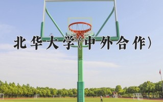 2024北华大学(中外合作)录取分数线，重庆录取最低分504