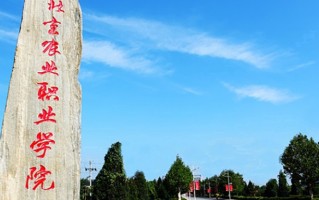陕西338分能上什么大学？附2025年可以报考的大学名单