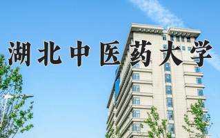 辽宁考生多少分能上湖北中医药大学？2025最低489分