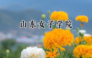 山东女子学院2024在福建录取分数线是多少？最低478分/最高511分