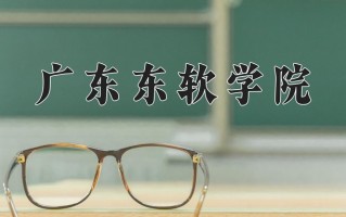 广东东软学院最厉害的专业-2024广东东软学院最好专业