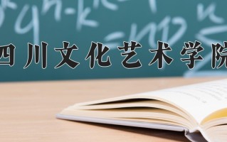 四川文化艺术学院最厉害的专业-2024四川文化艺术学院最好专业