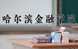 哈尔滨金融学院王牌专业排名-含2024年全国各省录取最低分数线