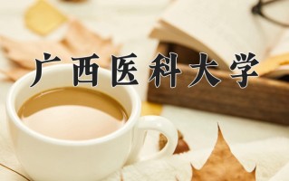 2025年河南高考510分可以上什么大学？附可以上的院校名单