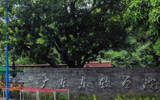 2024广东东软学院录取分数线，重庆录取最低分430
