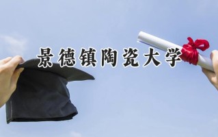 景德镇陶瓷大学2024在江苏录取分数线是多少？最低527分/最高549分