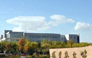 2024年塔里木大学录取分数线，河北最低482分
