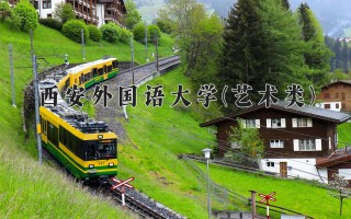 2024年西安外国语大学(艺术类)录取分数线，河北最低534分