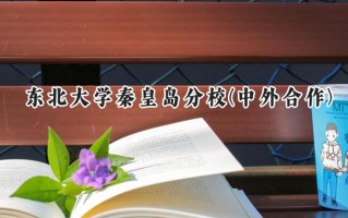 2024东北大学秦皇岛分校(中外合作)录取分数线：陕西最低593分