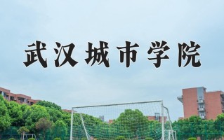 辽宁考生多少分能上武汉城市学院？2025最低442分