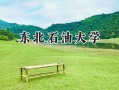 2024东北石油大学录取分数线：河南最低524分