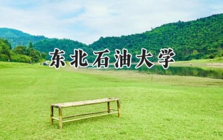 2024东北石油大学录取分数线：河南最低524分
