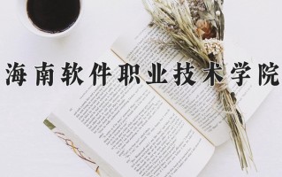 2025年海南软件职业技术学院在四川计划招生人数（附学费及专业录取分)