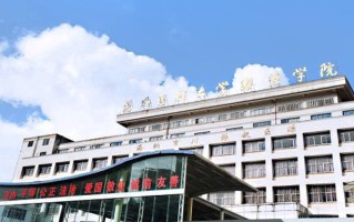 昆明医科大学海源学院王牌专业排名-含2025年全国各省录取最低分数线