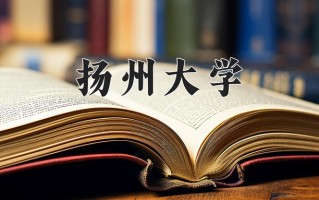 陕西533分能上什么大学？附2025年可以报考的大学名单