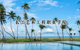 长江艺术工程职业学院2024在浙江录取分数线是多少？最低319分/最高410分