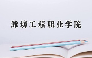 2024潍坊工程职业学院录取分数线：江苏最低423分