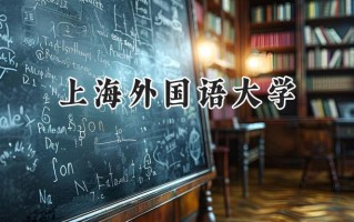 上海外国语大学2024在新疆录取分数线是多少？最低507分/最高548分