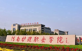 2024河南护理职业学院录取分数线，重庆录取最低分378