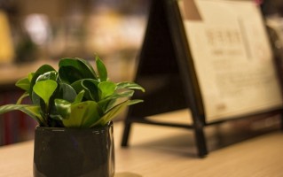 宁夏2025年高职分类招生政策解读