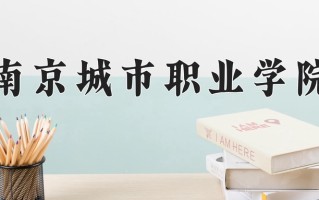2025年南京城市职业学院在四川计划招生人数（附学费及专业录取分)