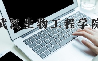 2024武汉生物工程学院录取分数线，重庆录取最低分180