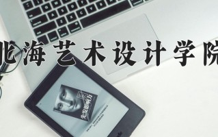 北海艺术设计学院最厉害的专业-2024北海艺术设计学院最好专业