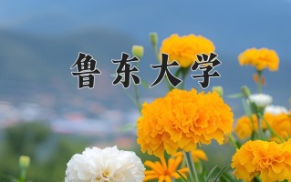 鲁东大学全国排名和最强专业解析