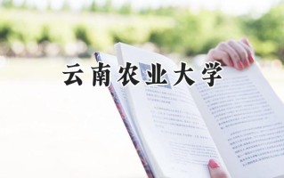 云南农业大学2024在上海录取分数线是多少？最低422分/最高465分