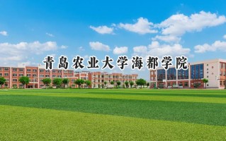 2024青岛农业大学海都学院录取分数线：天津最低229分