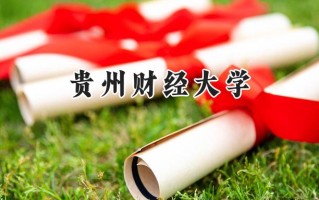 贵州财经大学2024在青海录取分数线是多少？最低371分/最高471分