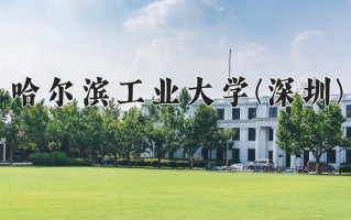 四川608分能上什么好大学？附2025年可以报考的大学名单