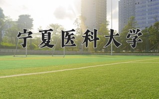 宁夏医科大学一年学费多少钱及各专业的收费标准(2025参考）