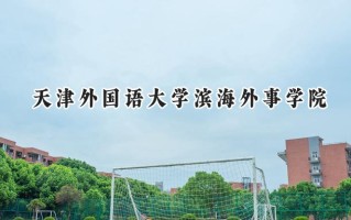 天津外国语大学滨海外事学院2024在内蒙古录取分数线是多少？最低385分/最高442分