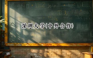 2024深圳大学(中外合作)录取分数线：山西最低556分