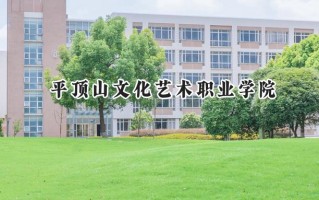 2024平顶山文化艺术职业学院录取分数线：河南最低256分