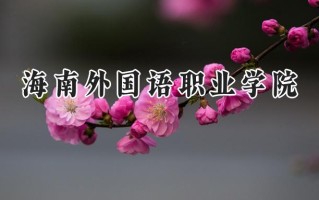 海南外国语职业学院2024在浙江录取分数线是多少？最低414分/最高450分
