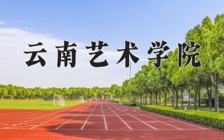 云南艺术学院2024年各学科排名一览表！附教育部评级比例