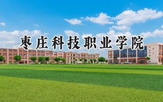 枣庄科技职业学院2024在江苏录取分数线是多少？最低310分/最高390分