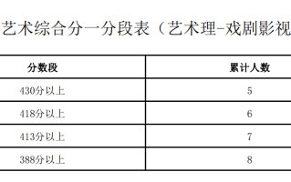 宁夏2024年艺术综合分一分一段表公布（艺术理-戏剧影视表演）