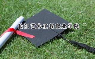长江艺术工程职业学院2024在山东录取分数线是多少？最低254分/最高344分